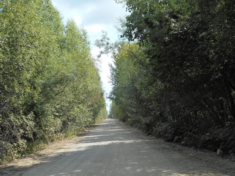 Дорога Зея-Снежногорский / Zeya – Snezhnogorskiy road