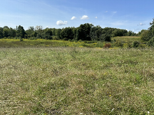 #1: The Confluence from 10 m Distance 