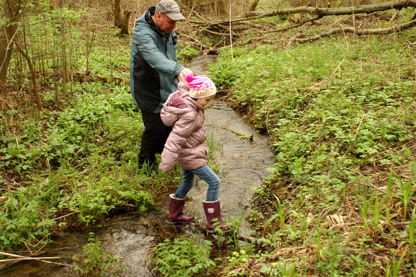 First rivulet / Первый ручей