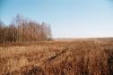 #9: The field at 300m from the CP/Поле и опушка в 300м от точки