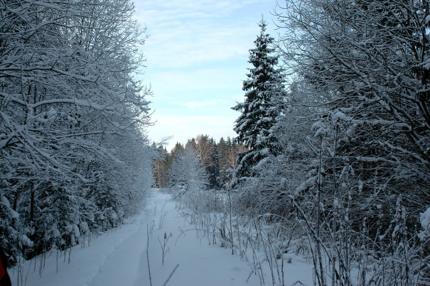 Near the end of the journey/Вот и скоро конец прогулке