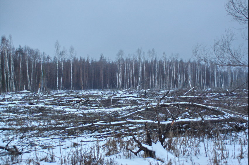 General view, to the NE sector