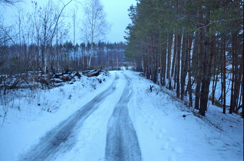 A road around the pond