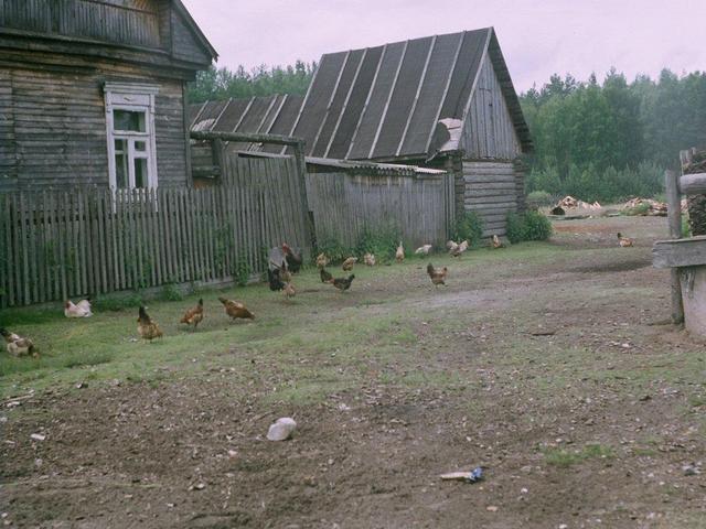 Деревня Малиновка -- The village Malinovka (Robin)