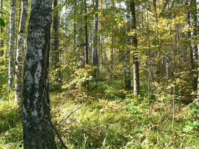 General view, to the West