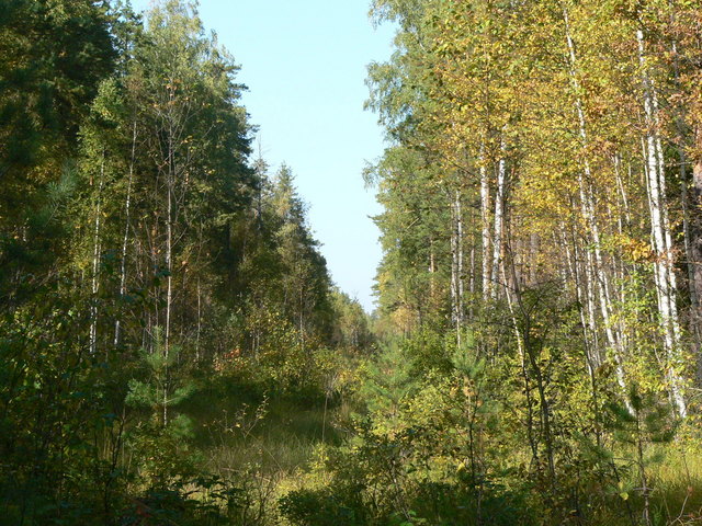 The cutting near CP