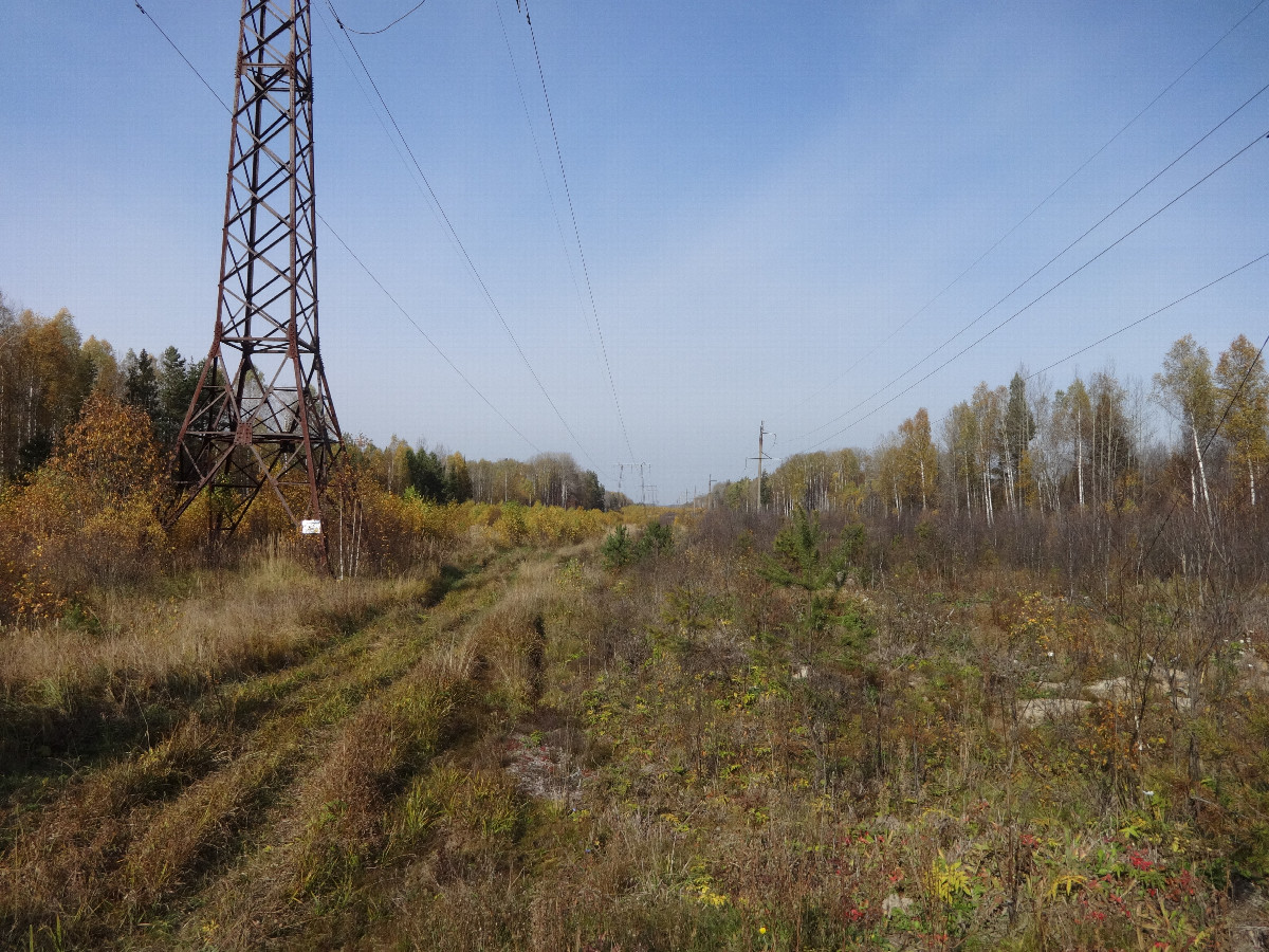 Along Power line