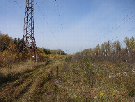 #9: Along Power line