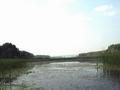 #3: Beautiful lake with water-lily flowers