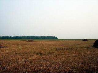 #1: Point between piles of straw