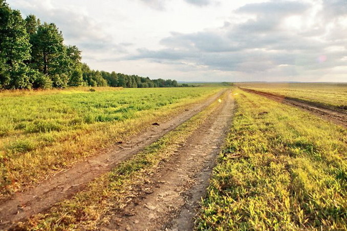 Field dirt road