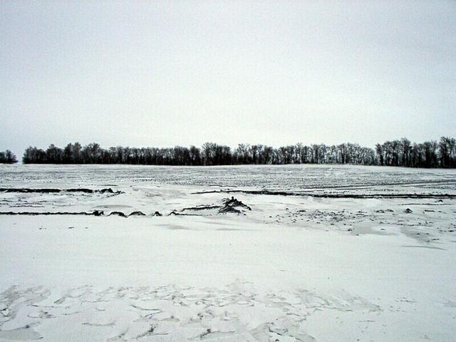 View in the confluence direction