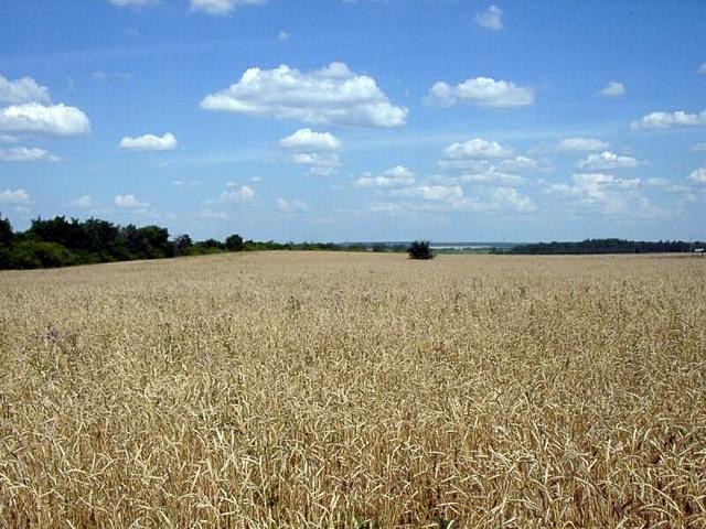 North view to confluence point