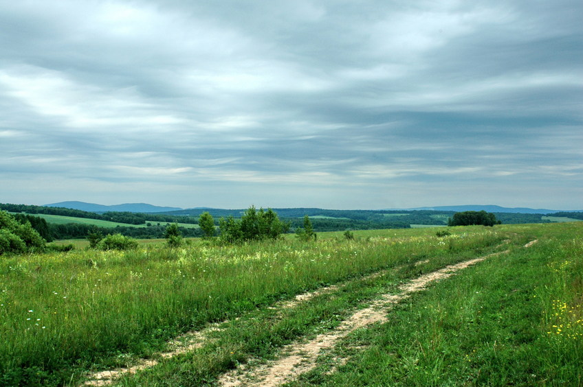 East view in 1 km from the CP