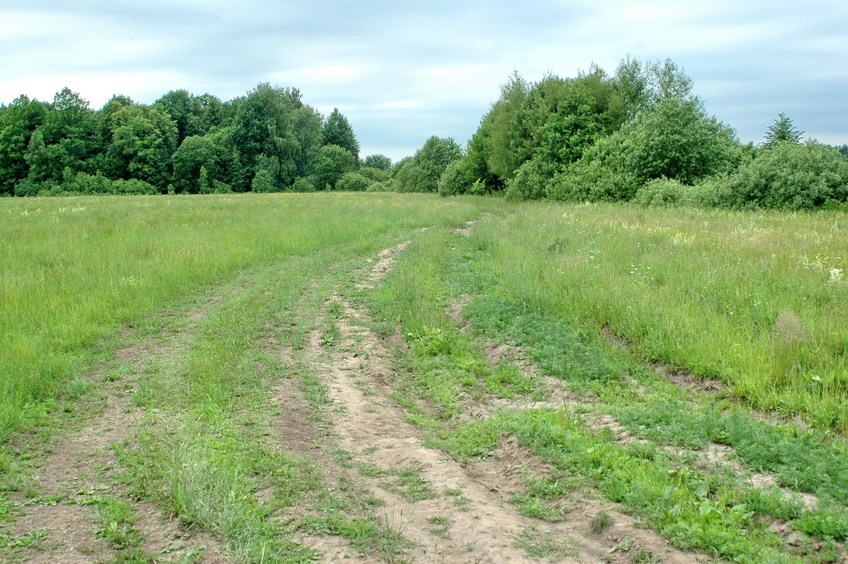 West view in 1 km from the CP