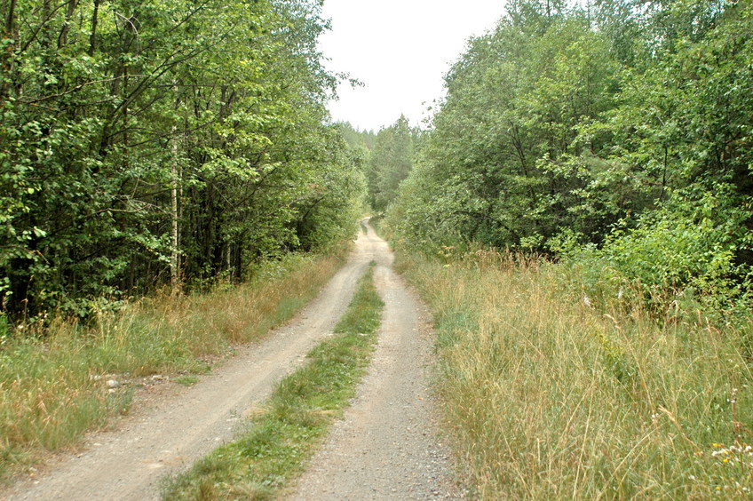 The road we came here/По этой дороге мы приехали