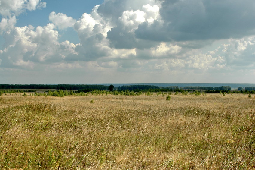 East view/Восток