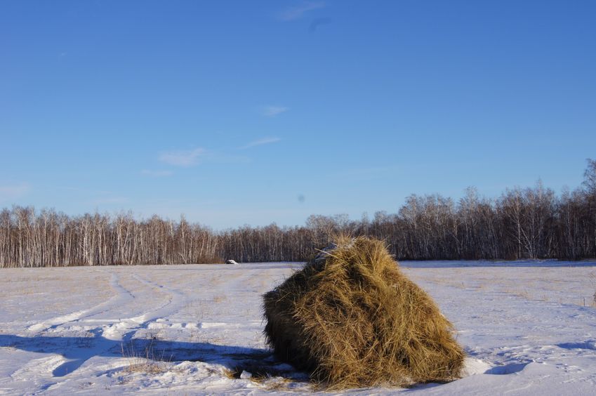 Вид на восток в сторону пересечения/East view, towards the confluence