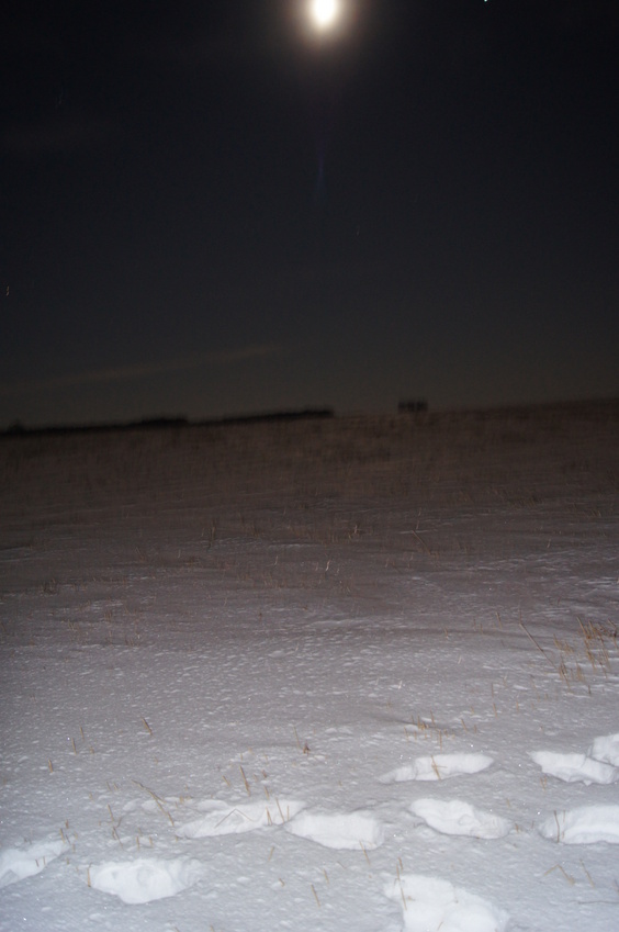 Полнолуние/Full moon