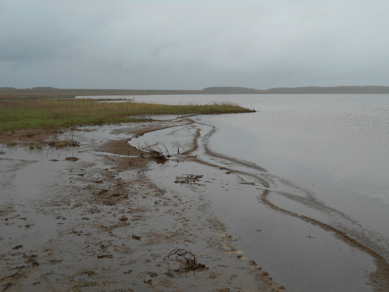 Берег озера/Lake shore