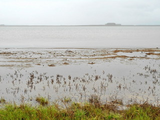 #1: Вид в сторону пересечения/View towards confluence