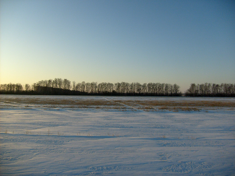 Looking west from the confluence