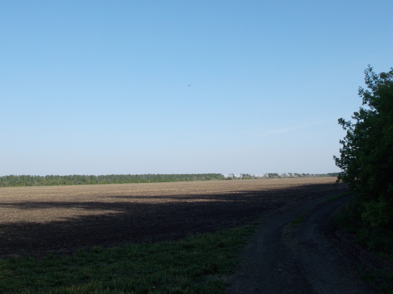 Вид на поле с пересечением/The field with confluence