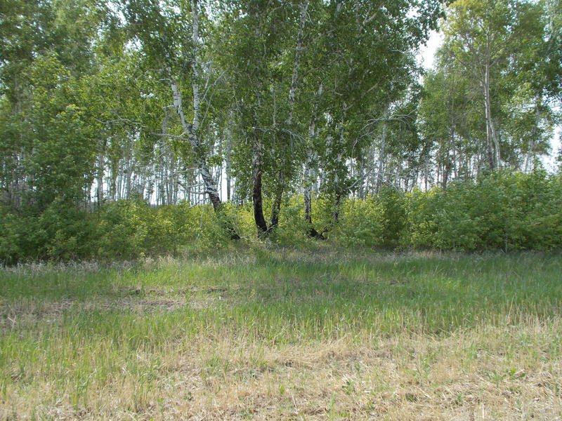 Вид на место пересечения