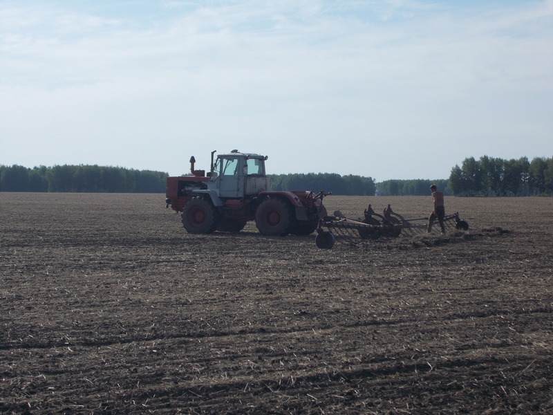 Полевые работы/Field work