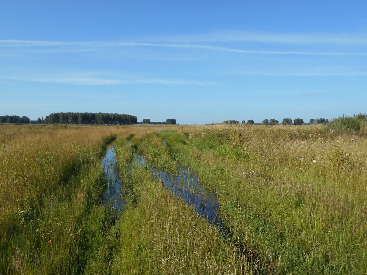 Вид в сторону пересечения (попытка 1) / View towards confluence (attempt 1)