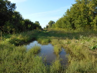 #3: Улица бывшего поселка Гривенский (попытка 2) / A street of the former village of Grivensky (attempt 2)