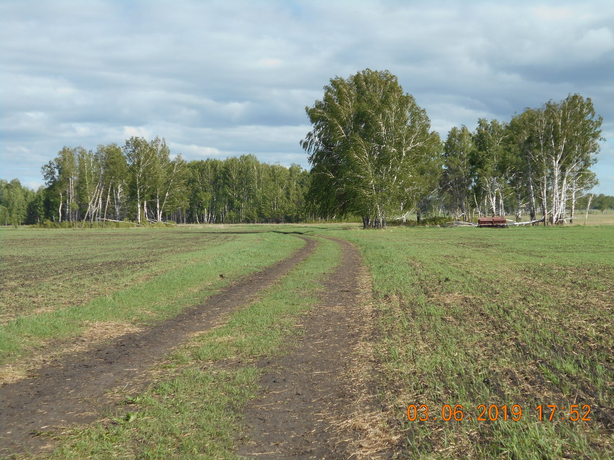 Полевая дорога / Field dirt road