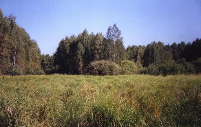 View from CP on the North.