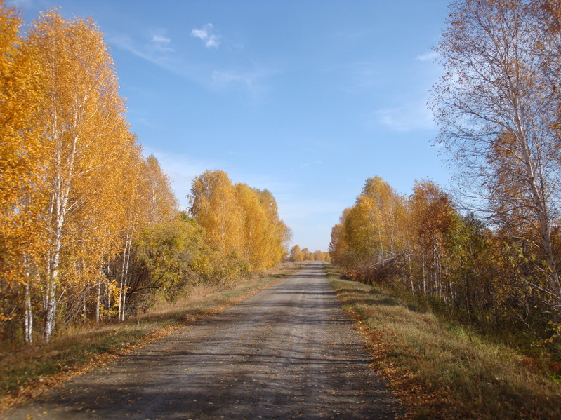 Живописная дорога/Pictursque road