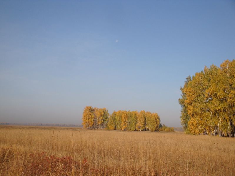 Луна и поле - день чудесный/The moon and field - such wonderful day!