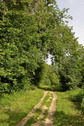 #9: Main road in Inyushinskiy wood