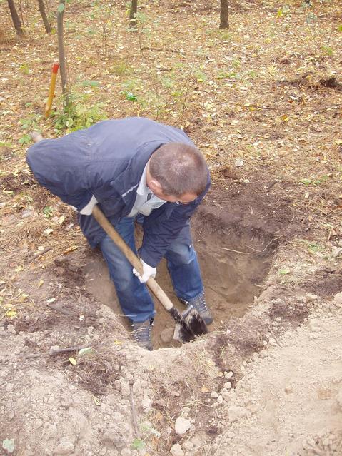 Сначала точку надо откопать... -- First the point needs to be dug out...