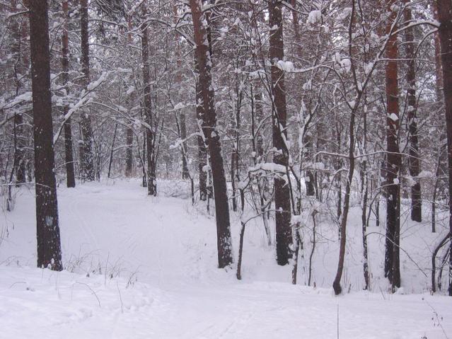 север -- view to the North