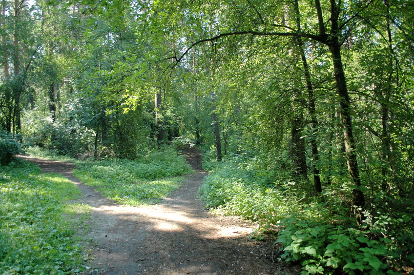 Confluence view 2 (approx West)