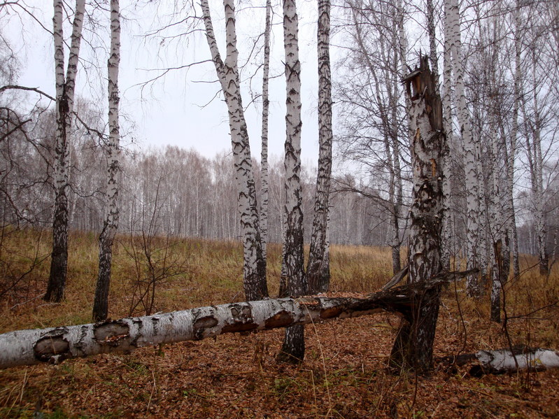 Восток/East view