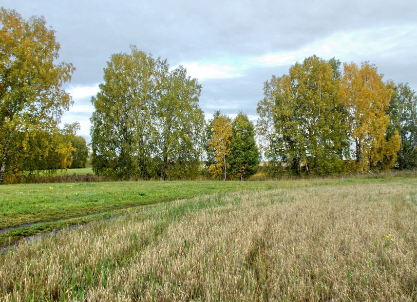 На Запад/West view