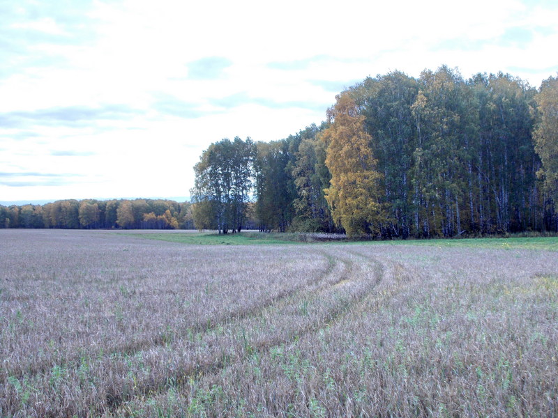 На Восток/East view