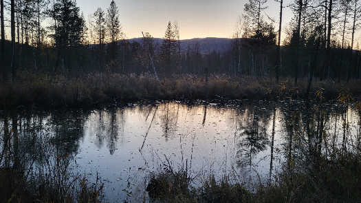 #1: В сторону пересечения / Towards the confluence