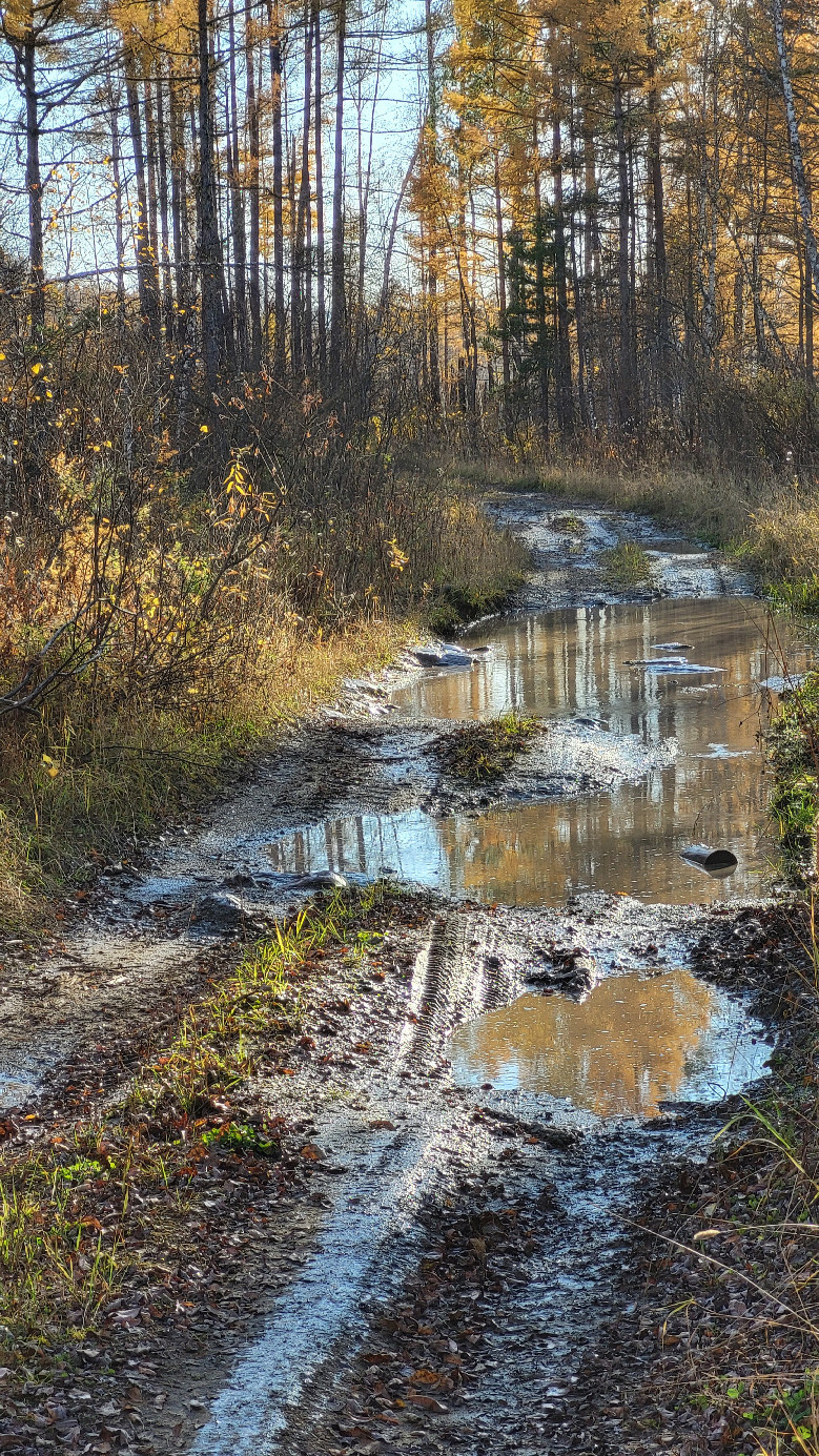 Полевая дорога / Field road