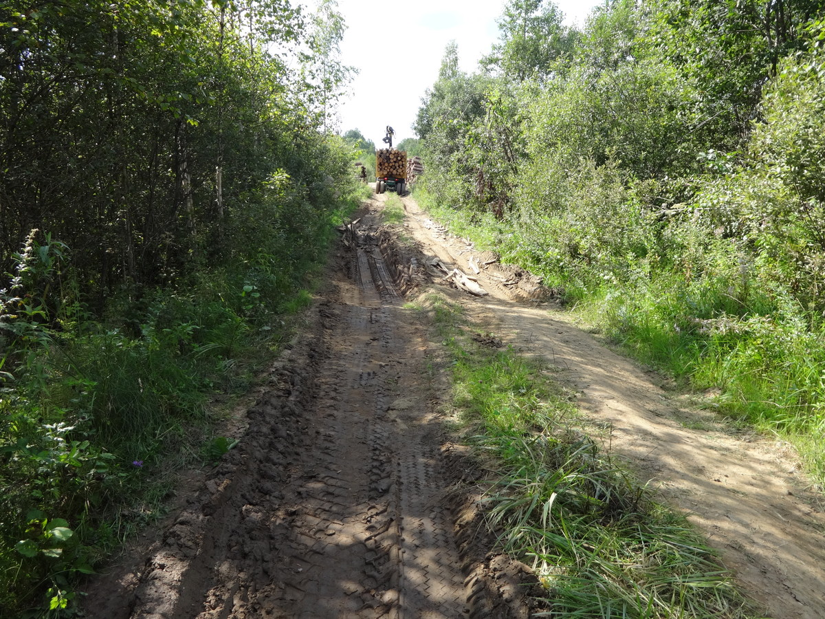 Лесовоз за работой / Timber removal