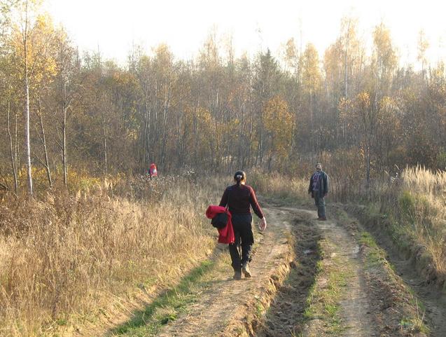 Hiking over a forest road