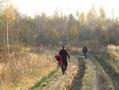 #9: Hiking over a forest road