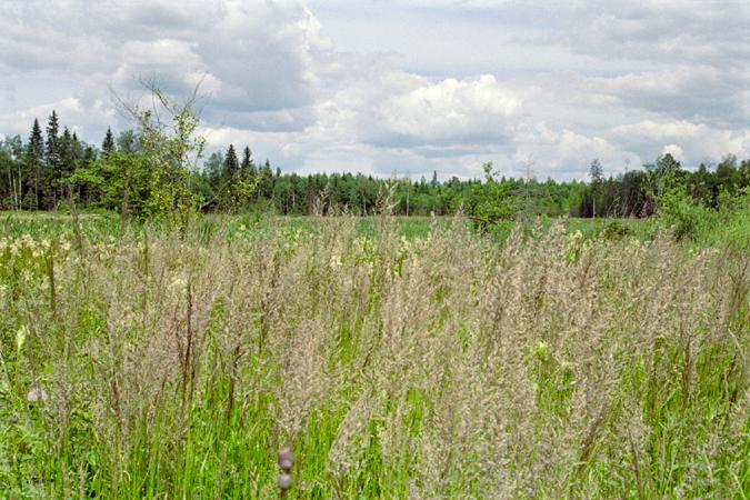 Вид на север / View to the north