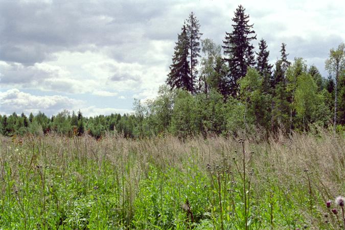 Вид на юг / View to the south