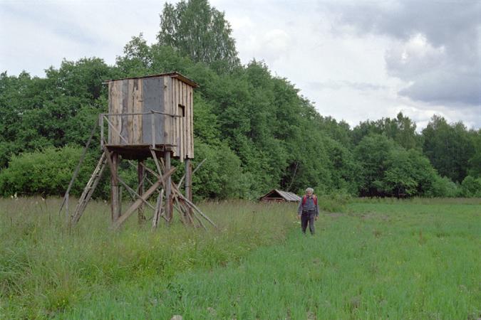 Охотничья засидка / Hunting stand